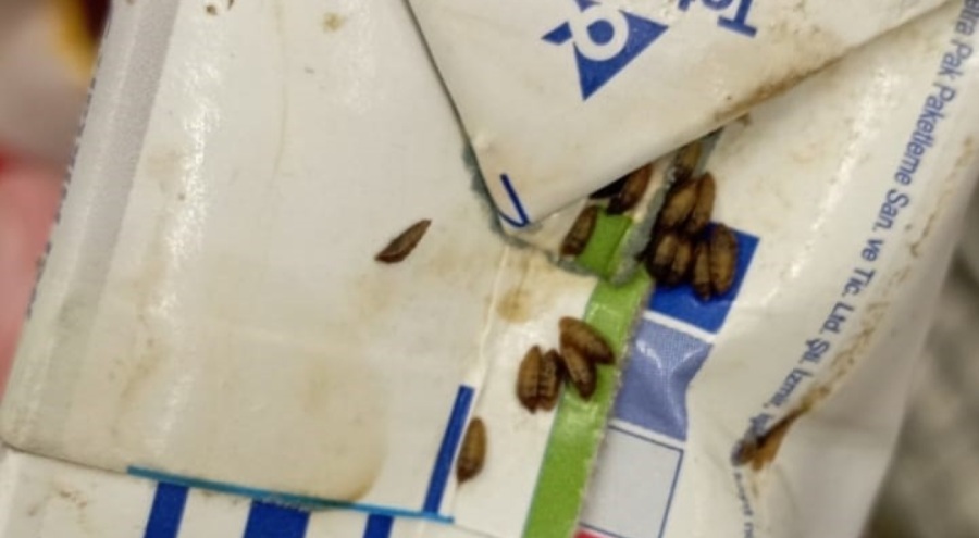 Markette ambalajı kurtlanmış süt ürünü şoku
