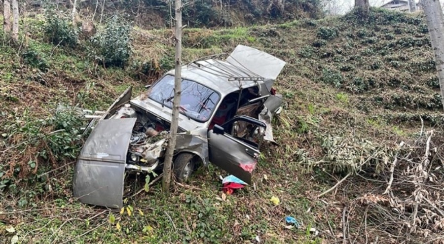 Ağaca çarpan otomobilin sürücüsü hayatını kaybetti