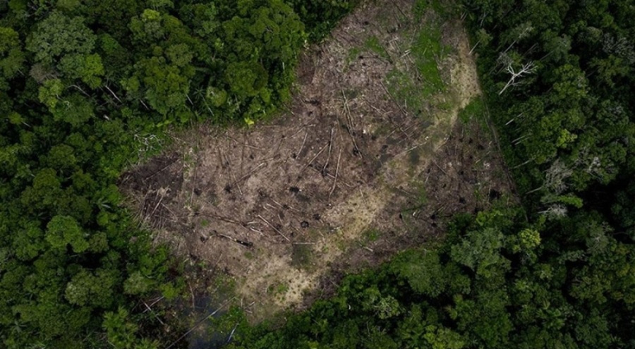 Amazon'un yarısı 2050 yılına kadar yok olabilir