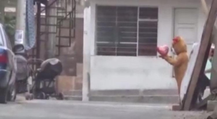 Ayı kostümü giyen polis uyuşturucu satışısını kıskıvrak yakaladı