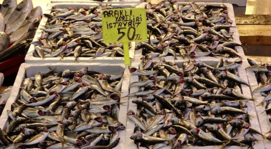 Tezgahların yeni başrolü istavrit