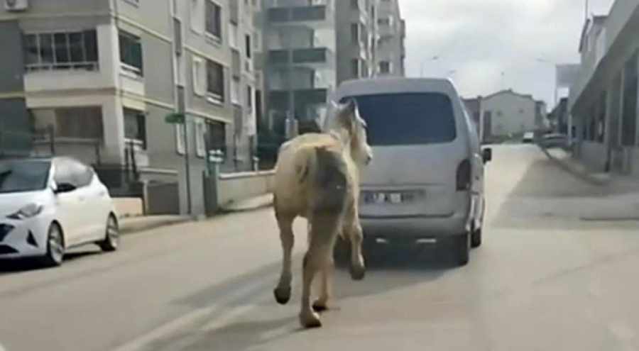 Bursa'da pes dedirten görüntü!