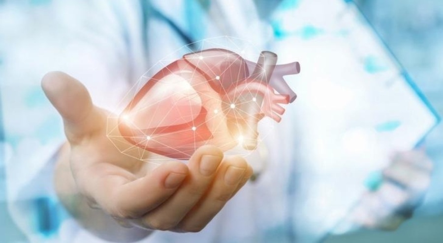 Sağlığınız için her gün yapmanız gereken 4 şey açıklandı!