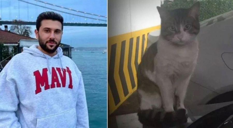 Adalet Bakanı Tunç duyurdu! Kedi katili İbrahim Keloğlan'ın davası yeniden görülecek