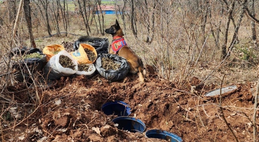 Diyarbakır'da 43 kilo esrar ele geçirildi