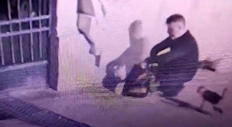 9 sokak kedisini döverek öldürmüştü... Serbest bırakıldı!