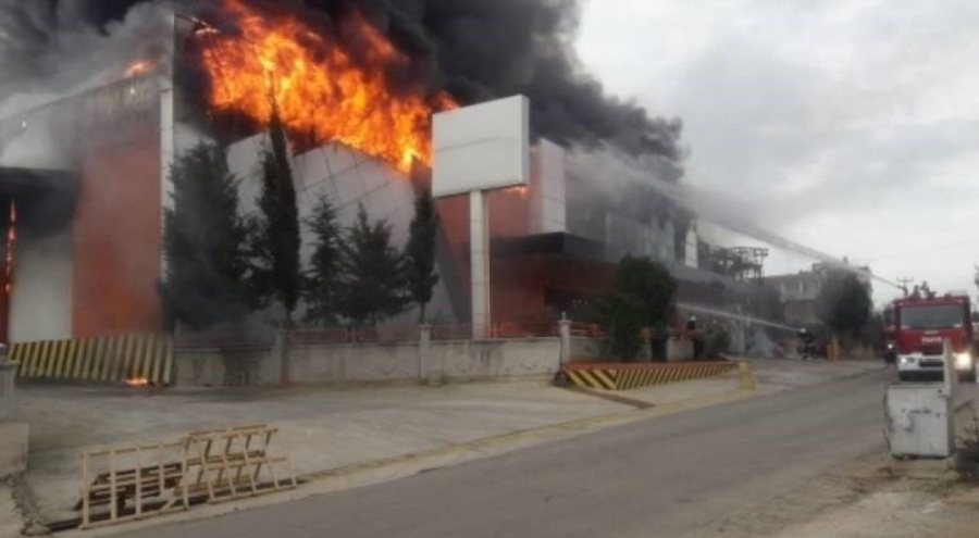 Narenciye deposunda yangın! Dumanlar birçok yerden görüldü