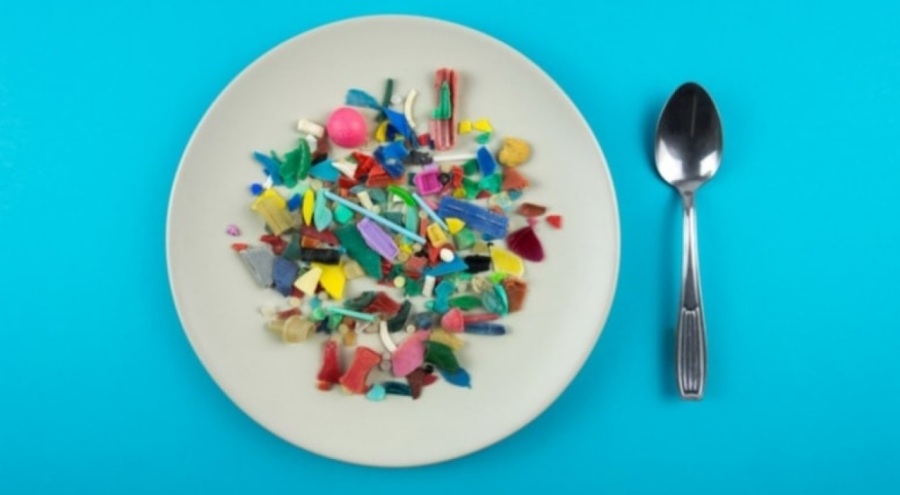 Bilim insanları açıkladı: İnsan plasentasında toksik plastikler bulundu