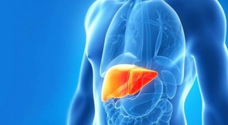 Bu belirtilere dikkat: Karaciğer yağlanmanız olabilir