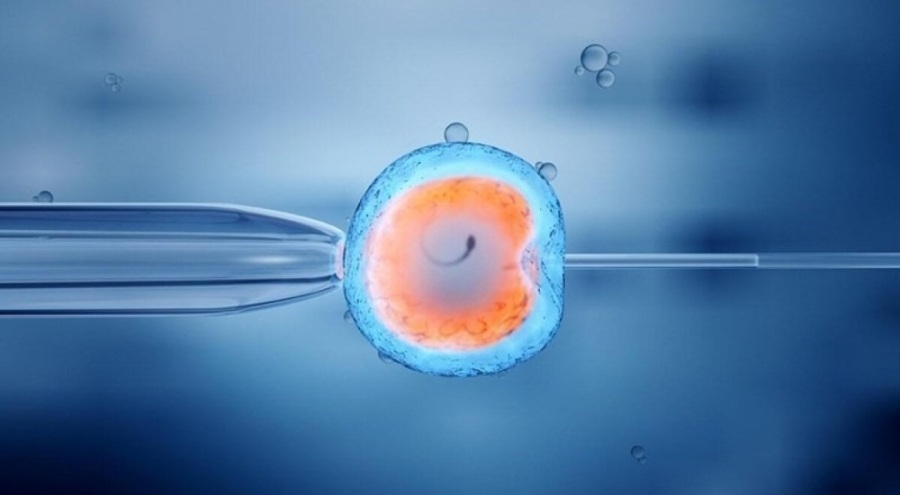 Mahkeme 'çocuk' saydı: Tüp bebek çalışmaları durduruldu