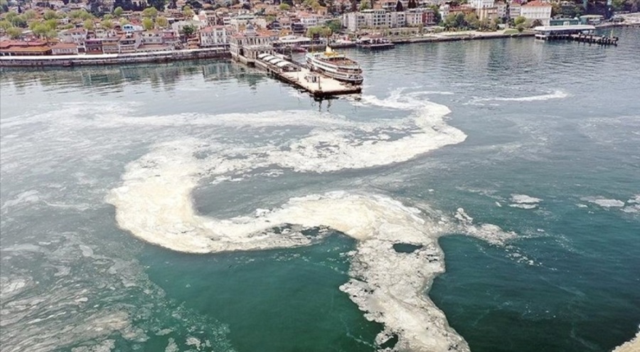 Marmara'da müsilaj tehlikesi!