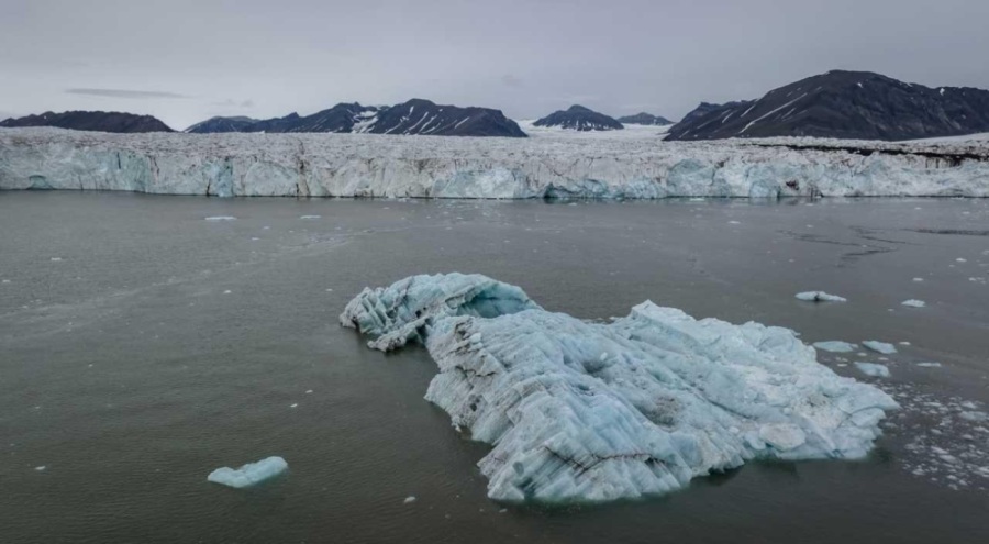 Antarktika ana karasında ilk kez kuş gribine rastlandı