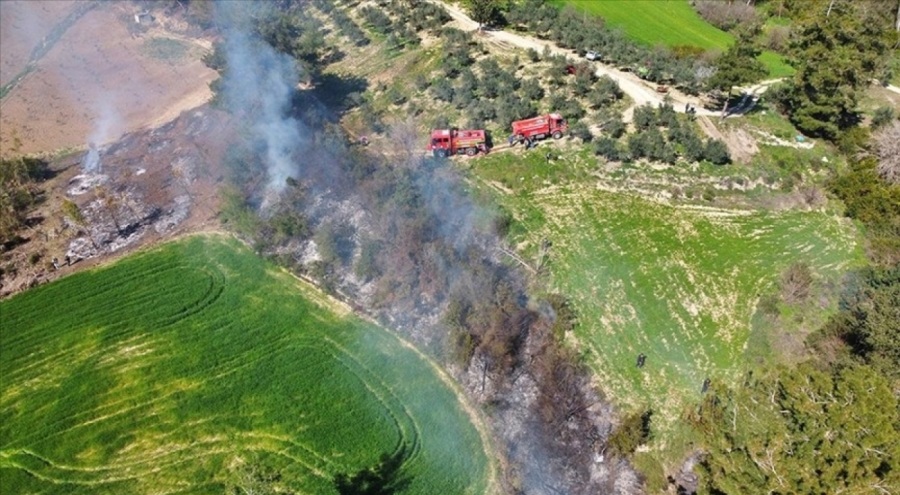 Osmaniye'de orman yangını! 5 dekarlık alan küle döndü