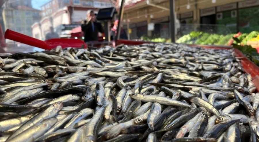 Hamsi tezgahlardaki son günlerini yaşıyor