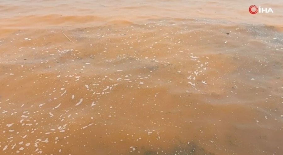 Marmara Denizi turuncuya büründü