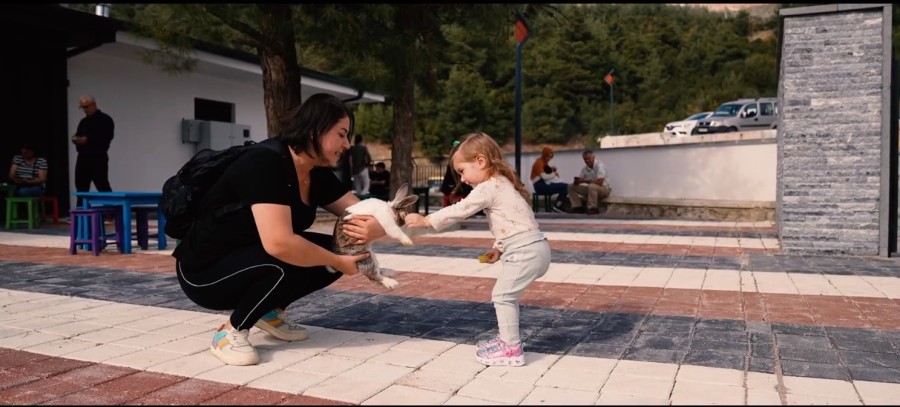 Gürsu'da 3 ayda 860 sokak hayvanı tedavi edildi