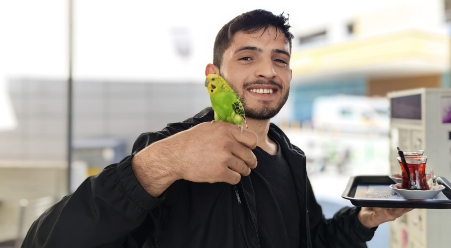 Bursa'da hastane kantininde çalışan gencin muhabbet kuşu ibiş görenleri hayrete düşürüyor