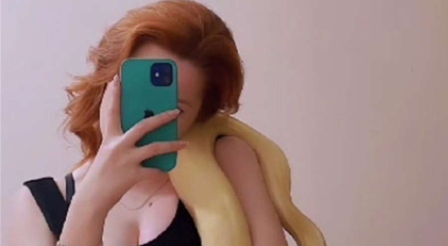 Kiracısına ulaşamayan ev sahibine piton sürprizi! "Evcil, zararı yok"