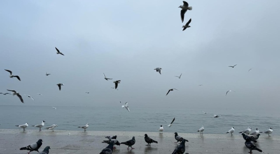 Çanakkale Boğazı'nda sis