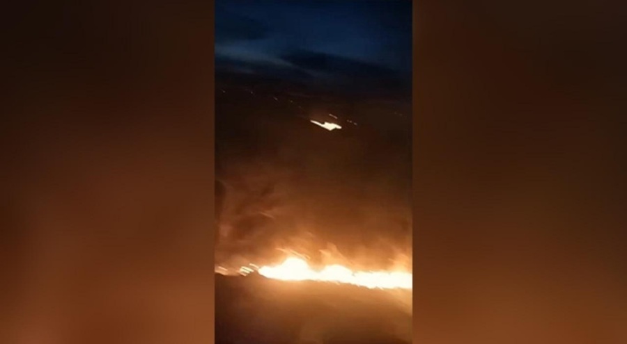 Rize'de orman yangını