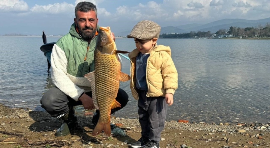 Bursa İznik Gölü'nde balıkçılar bayram etti! Bir günde 600 kilo