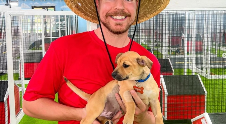 200 milyon aboneye ulaşarak dünya rekoru kırdı