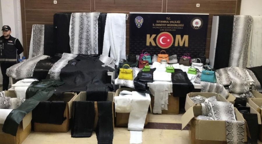 Çanta imalathanesine baskın: Çok sayıda yılan piton derisi bulundu