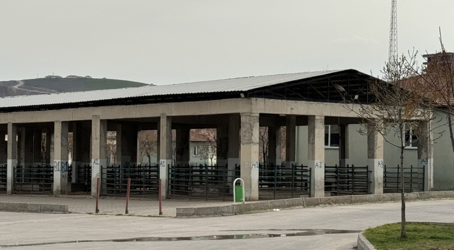 Siirt'te şap alarmı! Ekipler harekete geçti