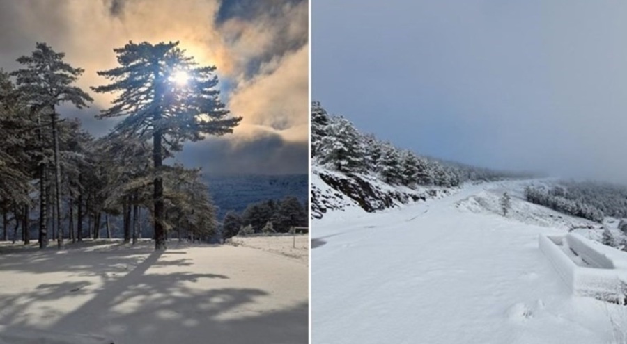 Muğla'ya Mart ayında kar yağdı