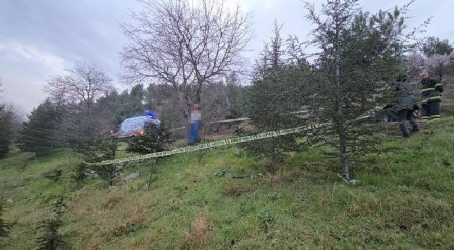 Ağaçta asılı ceset bulundu! Kimliği araştırılıyor