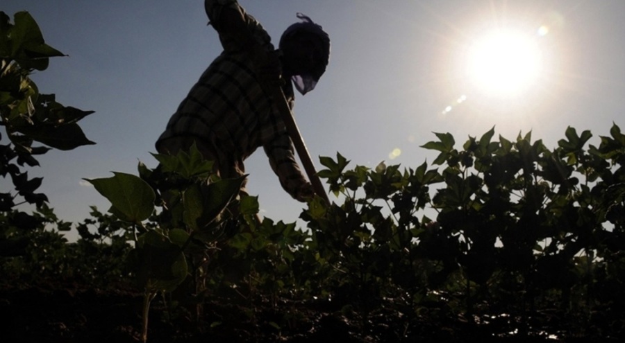 Tarım işçilerinin günlük ücreti arttı