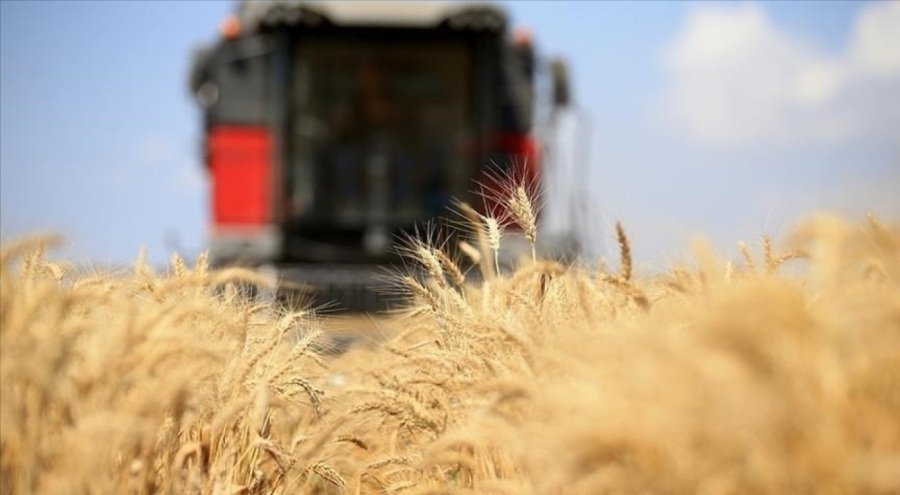 FAO: Küresel gıda fiyatları düşmeye devam ediyor