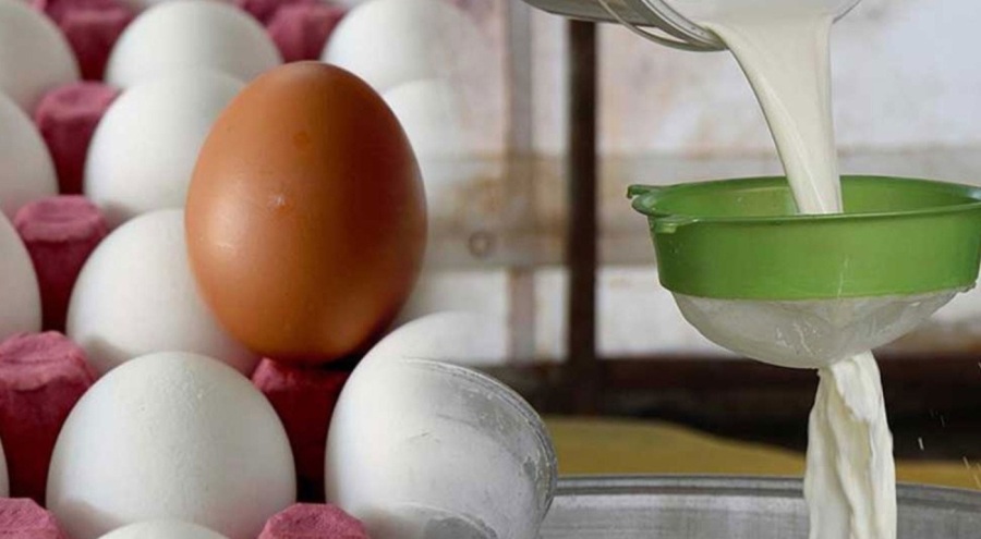 Ocakta süt, yumurta ve tavuk eti üretimi arttı