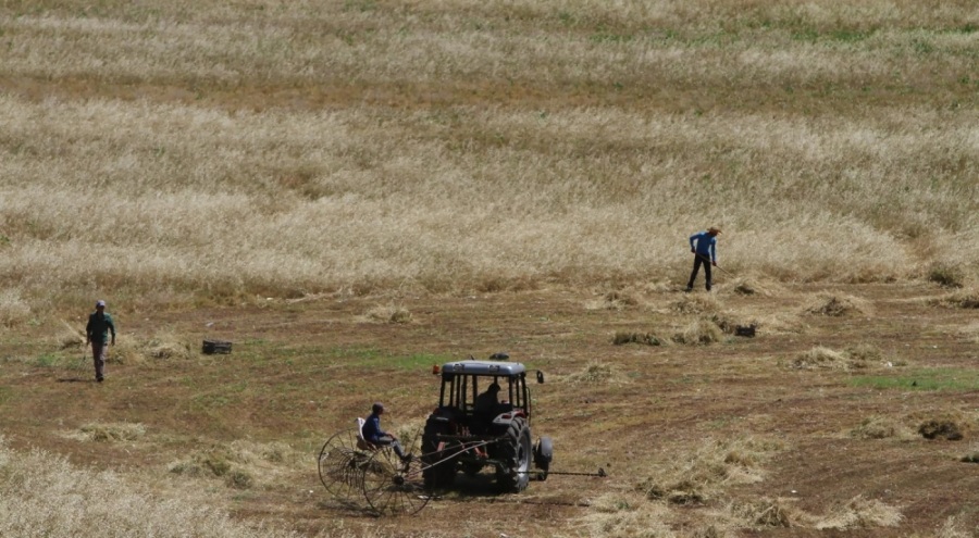 Ünlü oyuncunun cansız bedeni boş arazide bulundu