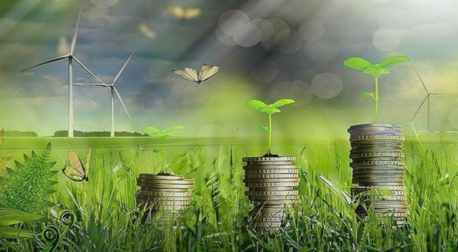 Yeşil dönüşümde bu yıl 50 firma desteklenecek