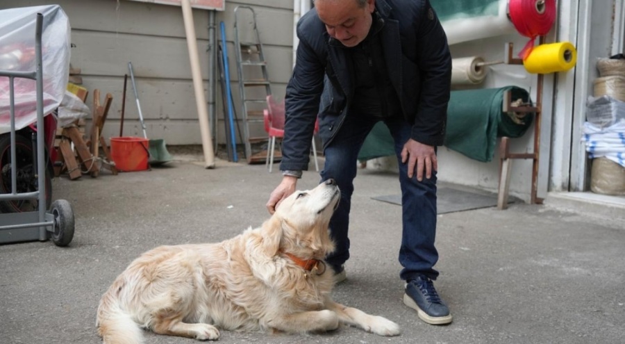 Köpekten kaçarken bacağını kırdı, 677 bin lira tazminat kazandı