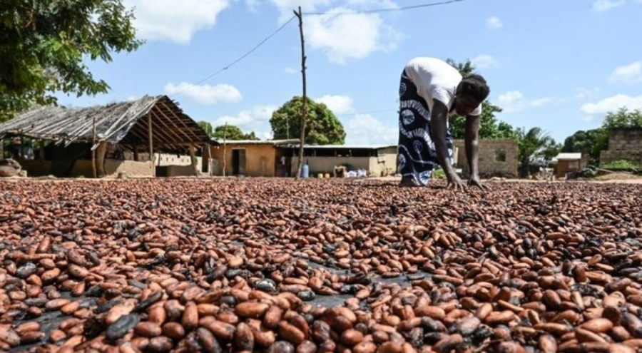 Kakao fabrikaları üretimi durdurdu: Çikolata krizi mi yaşanacak?