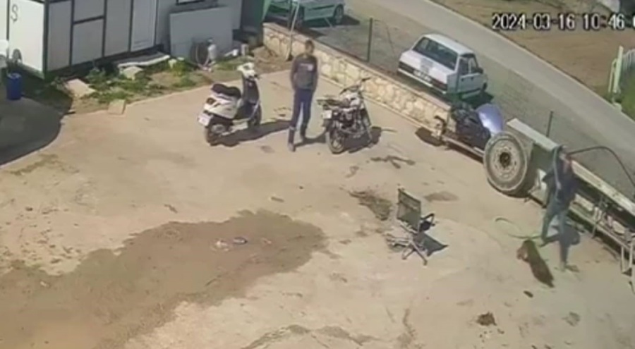 Kan donduran dehşet! Bağlı köpeğe acımasızca saldırdı