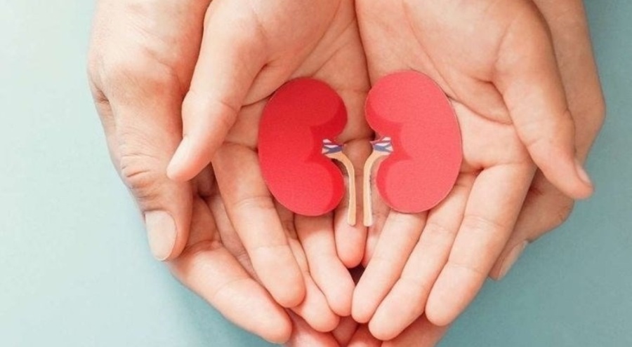 Böbrek sağlığına zarar veren 7 alışkanlık!