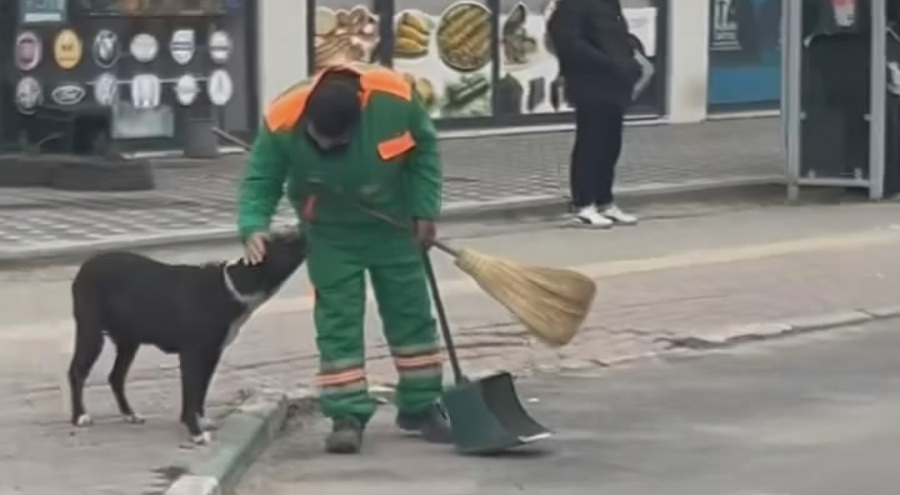 Bursa'da gülümseten anlar! Temizlik görevlisi sokak köpeğinin sırtını temizledi