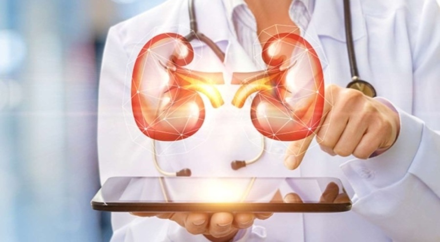 Uzmanından böbrek sağlığı için ağrı kesici ilaç uyarısı geldi!