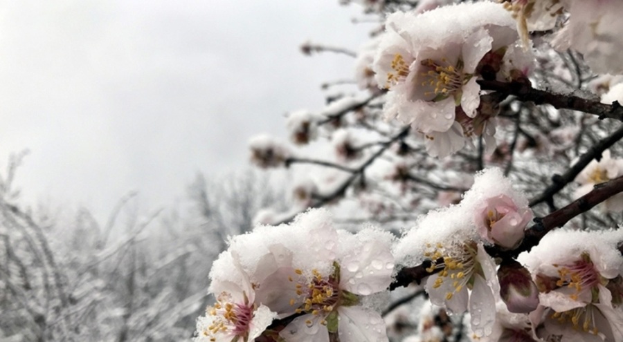 Valilik uyardı: Günlerce sürecek