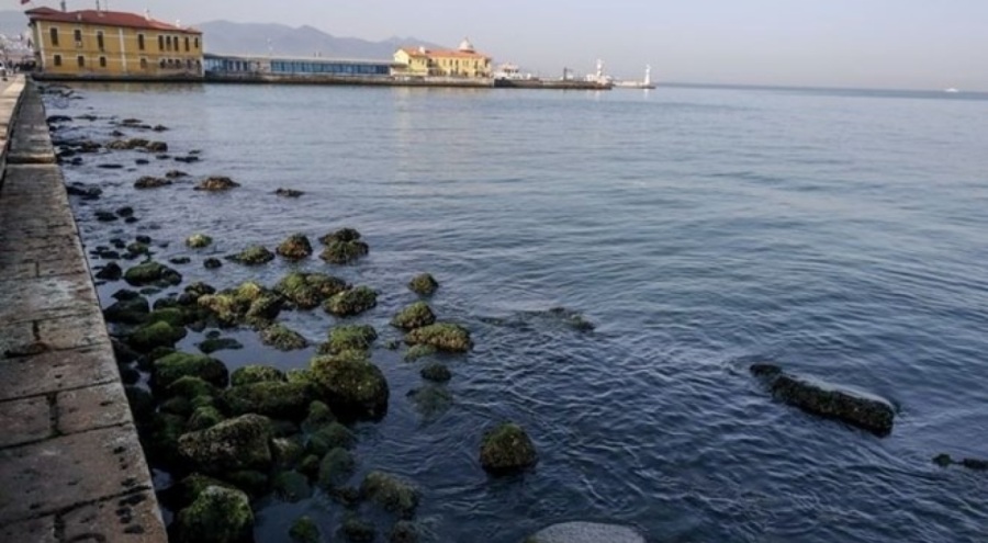 Tüplü dalış yaparken denizde kayboldu