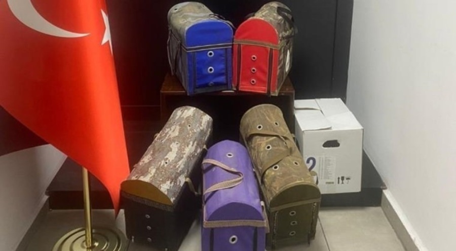 Horoz dövüştürenler yakalandı!