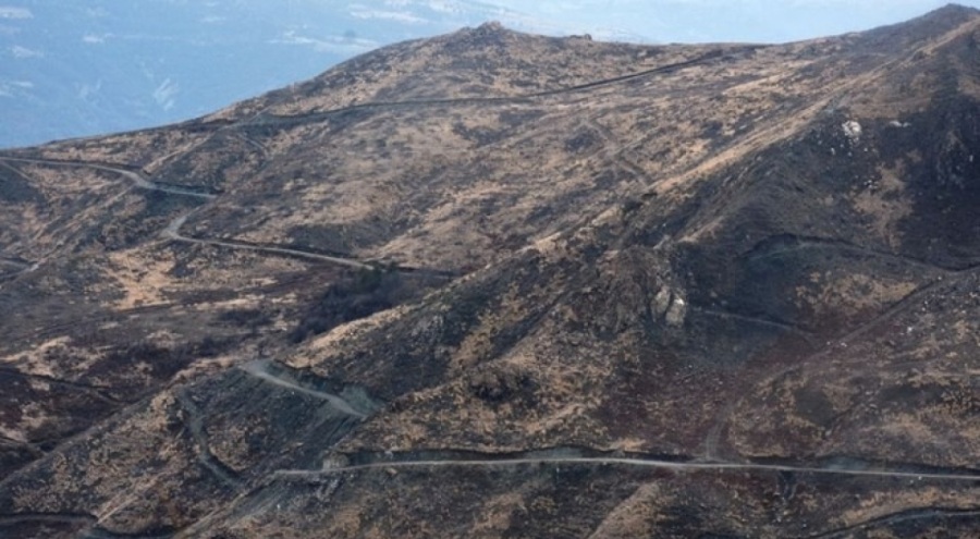 Sinop'ta yangında zarar gören alan yeniden ağaçlandırılıyor