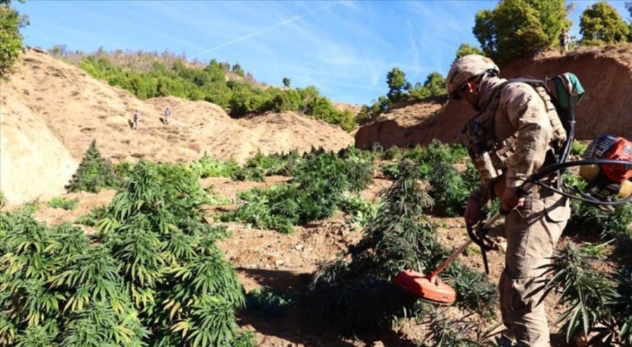 Diyarbakır'da 169 kilo esrar yakalandı