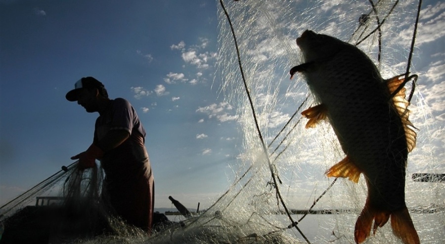 Balık avı yasağı 1 Nisan'da başlıyor