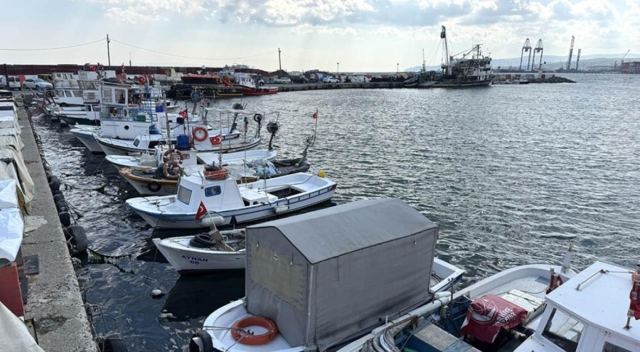 Marmara'da deniz ulaşımına lodos engeli