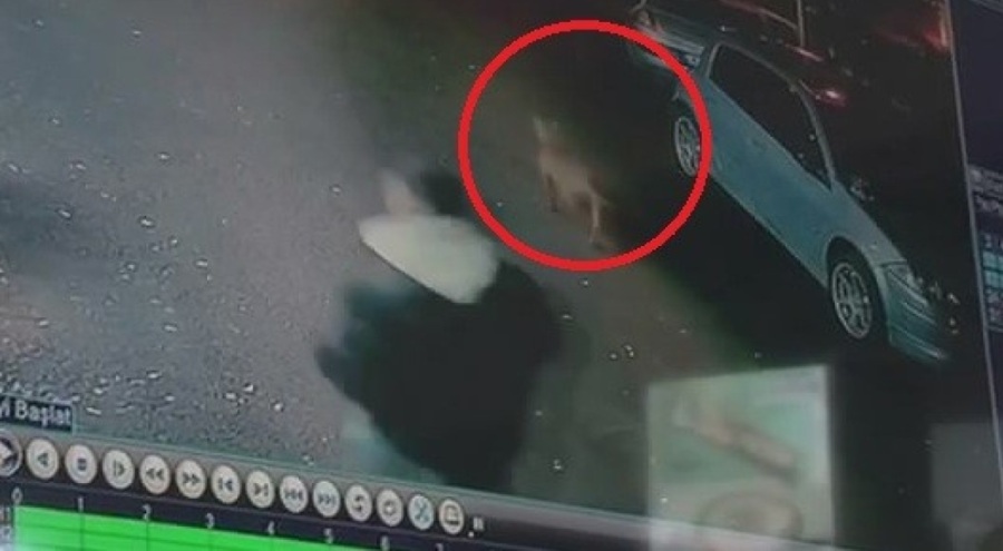 Bursa'da oyun oynayan çocuklara köpek saldırdı!