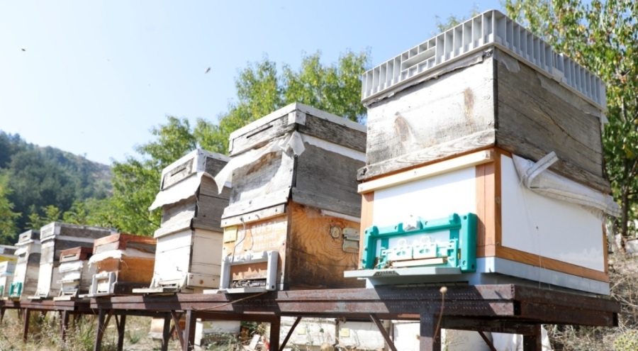 İnegöl'de 'Karaçalı' balının coğrafi işareti için çalışma yürütülecek